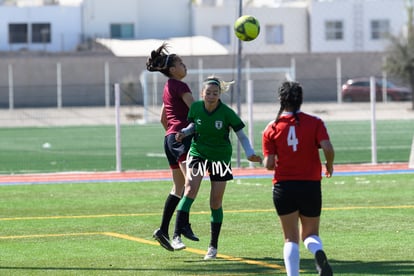 Panteras de Saltillo | Panteras FC CEFORUVA