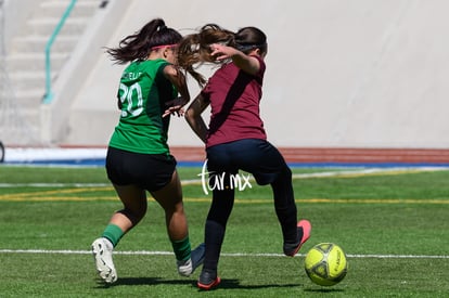 Panteras de Saltillo | Panteras FC CEFORUVA