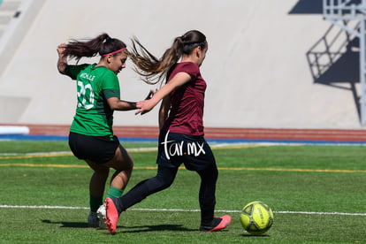 Panteras de Saltillo | Panteras FC CEFORUVA