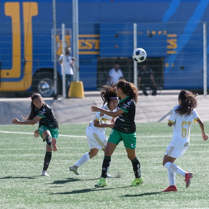  | Santos Tigres femenil sub17