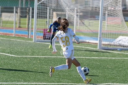  | Santos Tigres femenil sub17