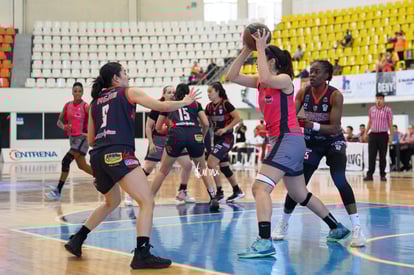  | Algodoneras Regias