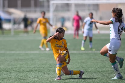  | Santos vs Tigres J16 C2022 Liga MX