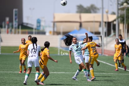 Frida Cussin | Santos vs Tigres J16 C2022 Liga MX