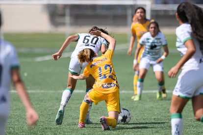 Ana Garza | Santos vs Tigres J16 C2022 Liga MX