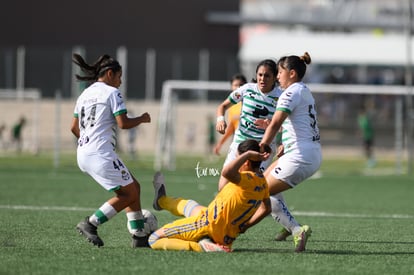  | Santos vs Tigres J16 C2022 Liga MX