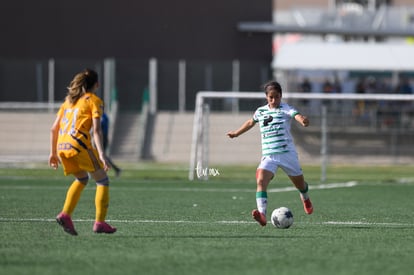  | Santos vs Tigres J16 C2022 Liga MX