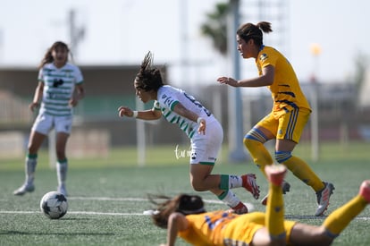 Celeste Guevara | Santos vs Tigres J16 C2022 Liga MX