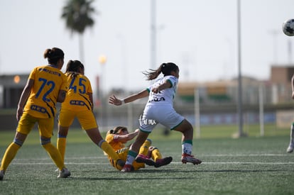 Celeste Guevara | Santos vs Tigres J16 C2022 Liga MX