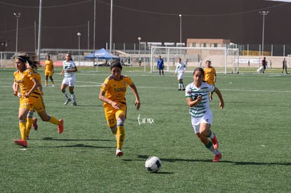 Alika Sánchez | Santos vs Tigres J16 C2022 Liga MX