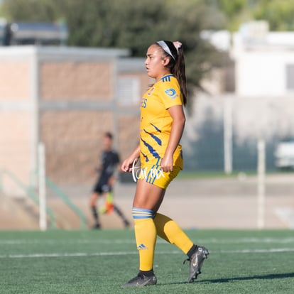  | Santos Laguna vs Tigres femenil sub 18 J8