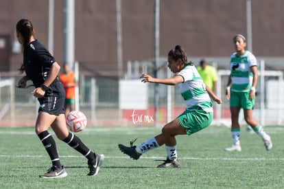  | Santos Laguna vs Tigres femenil sub 18 J8