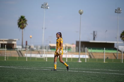  | Santos Laguna vs Tigres femenil sub 18 J8