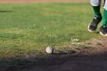 Liga Mexicana de Beisbol | Algodoneros Unión Laguna vs Generales de Durango