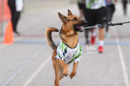  | Carrera 5K Halcones UAL