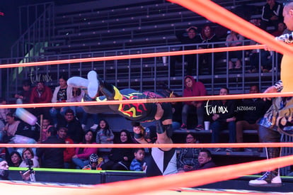  | Lucha Libre Torreón