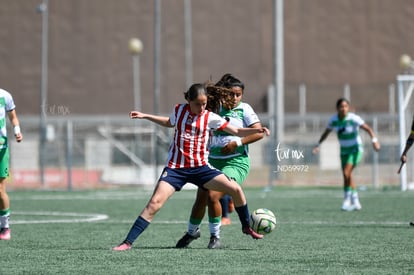  | Santos vs Chivas J15 C2023 Liga MX