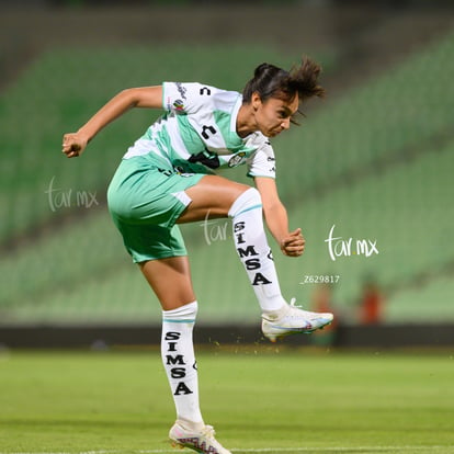  | Santos vs Chivas femenil