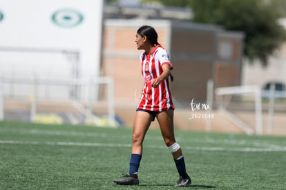  | Santos Laguna vs Chivas sub 19