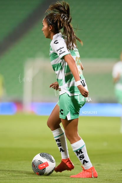 Michel Ruiz | Santos vs Leon femenil