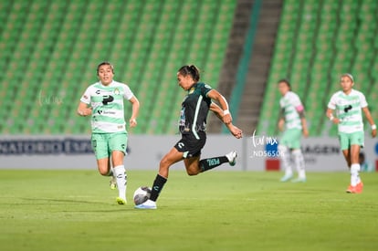  | Santos vs Leon femenil