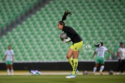  | Santos vs Querétaro femenil