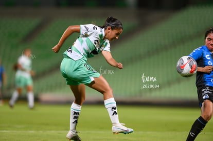 Michel Ruiz | Santos vs Querétaro femenil