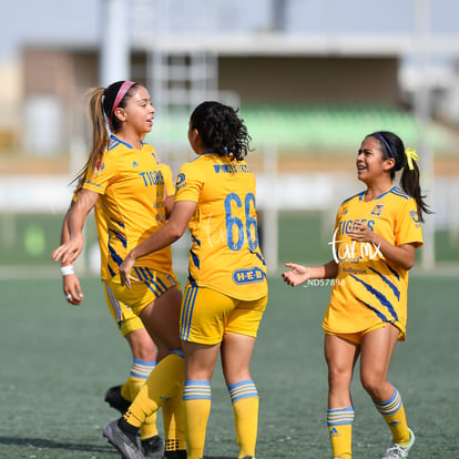 Celebran gol | Santos vs Tigres J13 C2023 Liga MX