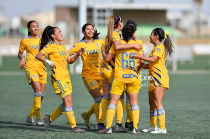 Celebran gol | Santos vs Tigres J13 C2023 Liga MX