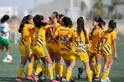 Celebran gol | Santos vs Tigres J13 C2023 Liga MX