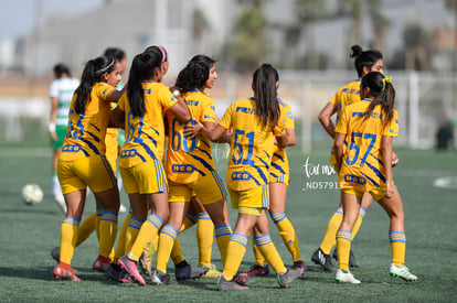 Celebran gol | Santos vs Tigres J13 C2023 Liga MX