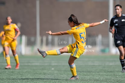 María González | Santos vs Tigres J13 C2023 Liga MX