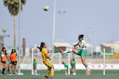 Mereli Zapata | Santos vs Tigres J13 C2023 Liga MX