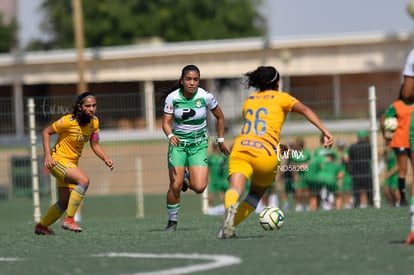 Celeste Guevara | Santos vs Tigres J13 C2023 Liga MX