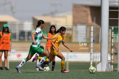 Lizeth Contreras, Aylin Salais | Santos vs Tigres J13 C2023 Liga MX