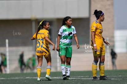 Yolanda Lira | Santos vs Tigres J13 C2023 Liga MX