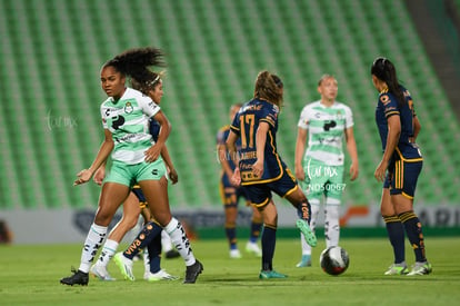  | Santos vs Tigres femenil