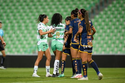  | Santos vs Tigres femenil