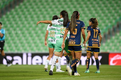  | Santos vs Tigres femenil