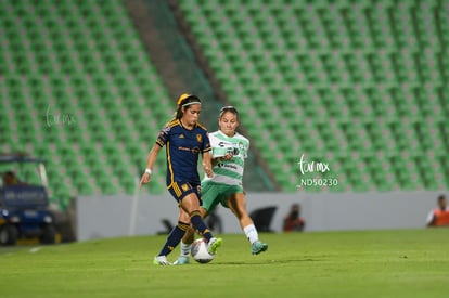  | Santos vs Tigres femenil