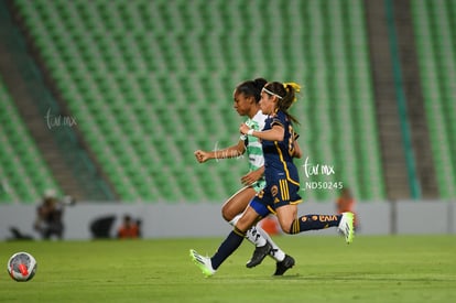  | Santos vs Tigres femenil