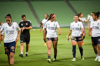  | Santos vs Tigres femenil