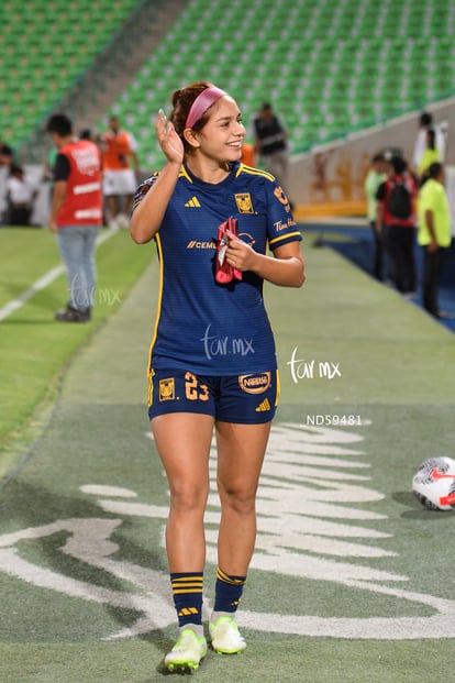  | Santos vs Tigres femenil