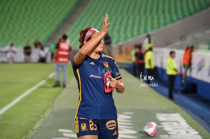  | Santos vs Tigres femenil