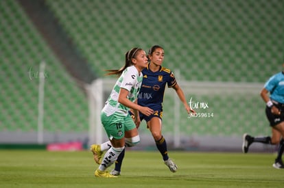  | Santos vs Tigres femenil