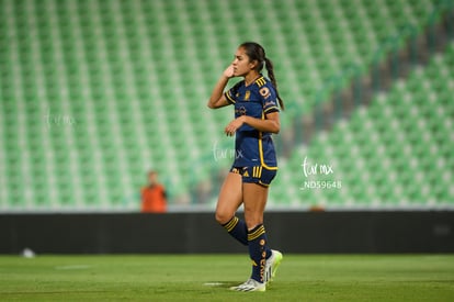  | Santos vs Tigres femenil