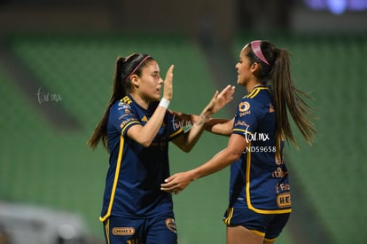 Lizbeth Ovalle | Santos vs Tigres femenil