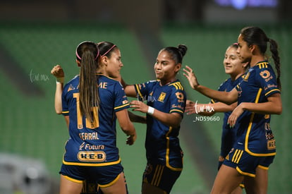 Lizbeth Ovalle | Santos vs Tigres femenil