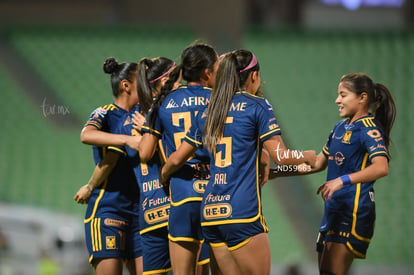  | Santos vs Tigres femenil