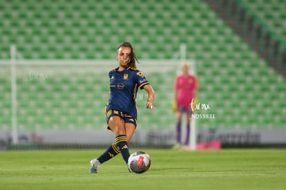  | Santos vs Tigres femenil